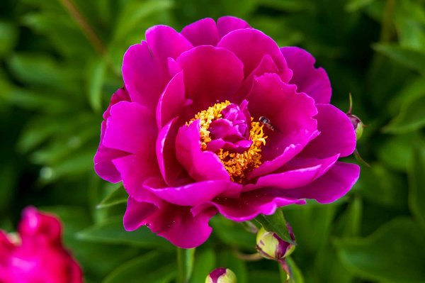 What are the environmental benefits of electric cars in the UK?